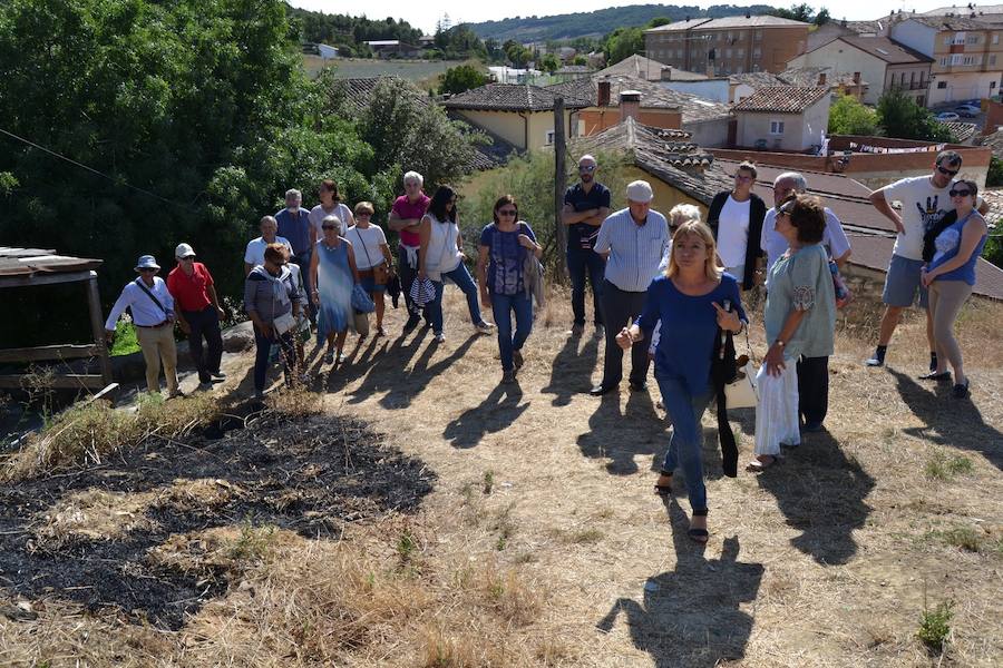 Fotos: Astudillo promociona su barrio de bodegas