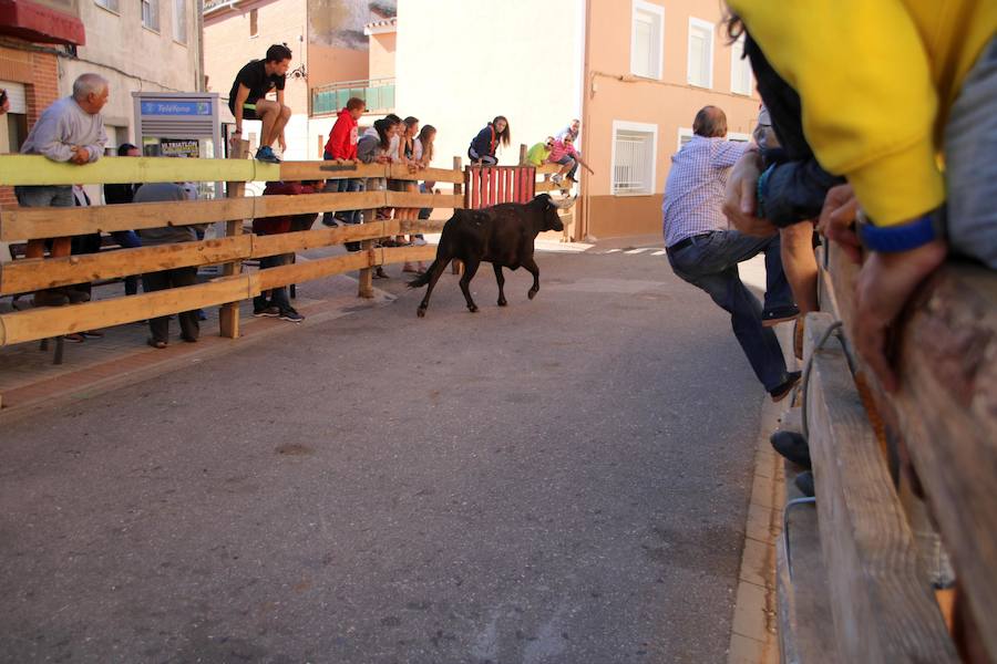 Fotos: Torquemada sigue Fiel a sus Encierros