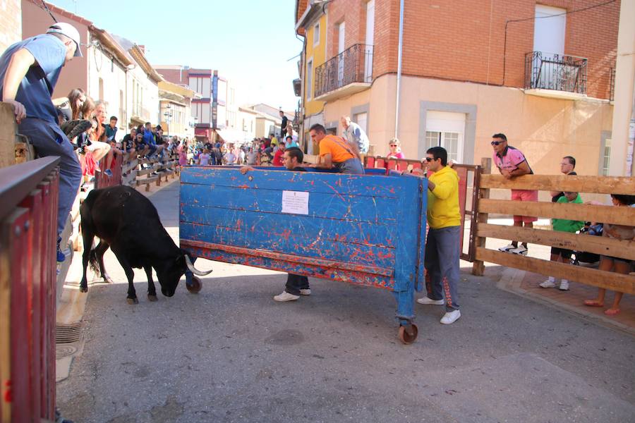 Fotos: Torquemada sigue Fiel a sus Encierros