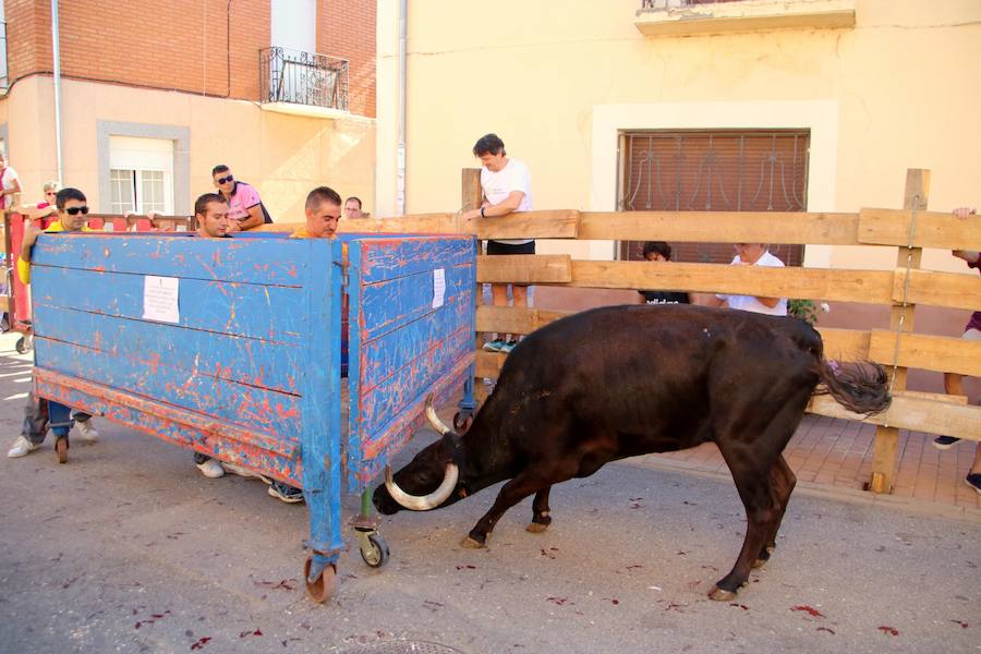 Fotos: Torquemada sigue Fiel a sus Encierros