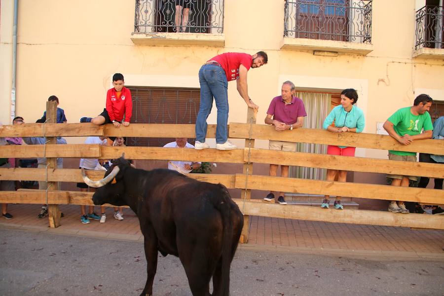 Fotos: Torquemada sigue Fiel a sus Encierros