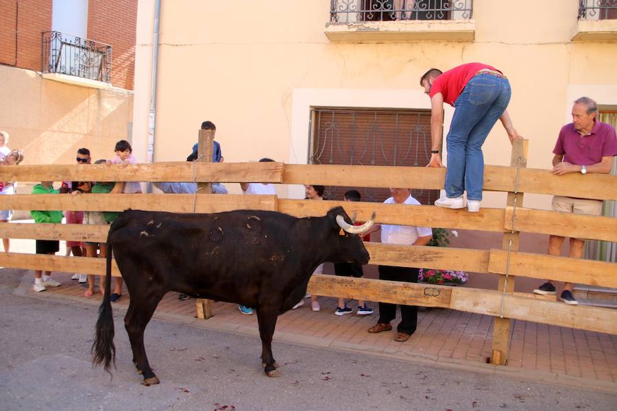 Fotos: Torquemada sigue Fiel a sus Encierros