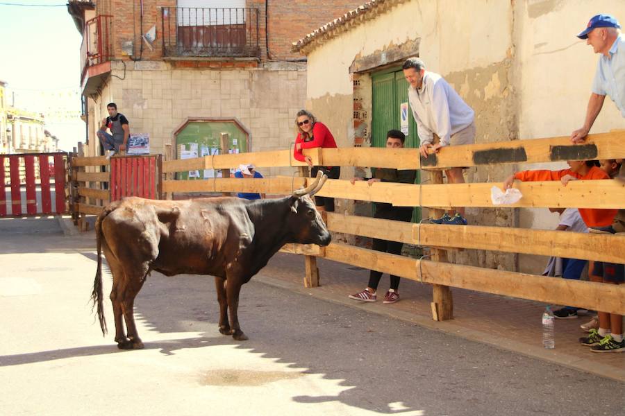 Fotos: Torquemada sigue Fiel a sus Encierros