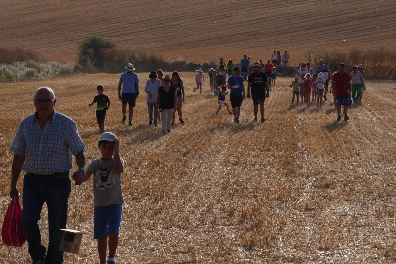 Fotos: Actividad medioambiental en Castrodeza