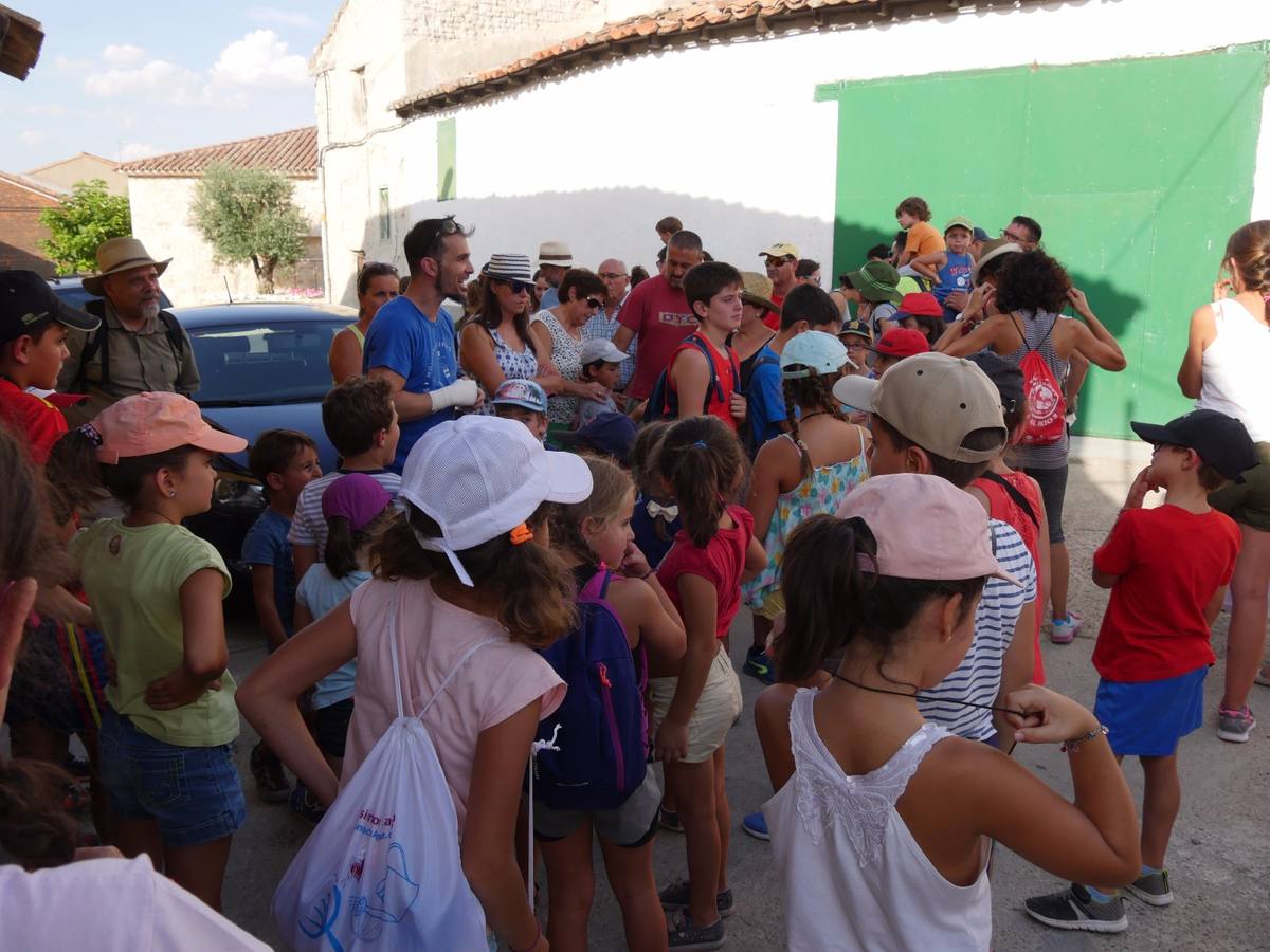 Fotos: Actividad medioambiental en Castrodeza