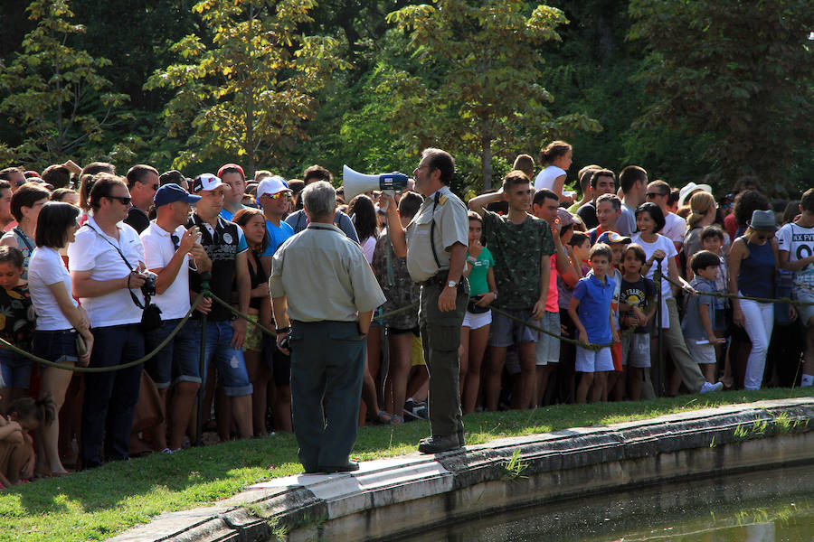Fotos: Juegos de agua en el Palacio Real de La Granja
