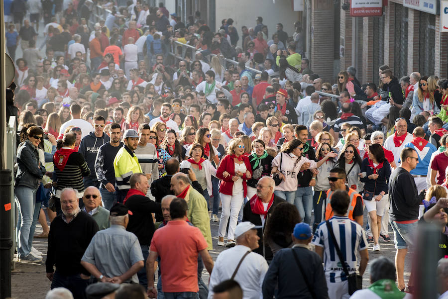 Solo cinco novillos han acabado el recorrido y han entrado en la plaza; el sexto ha tenido que ser anestesiado
