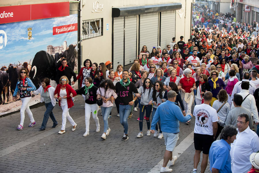 Solo cinco novillos han acabado el recorrido y han entrado en la plaza; el sexto ha tenido que ser anestesiado