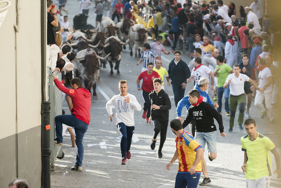 Solo cinco novillos han acabado el recorrido y han entrado en la plaza; el sexto ha tenido que ser anestesiado