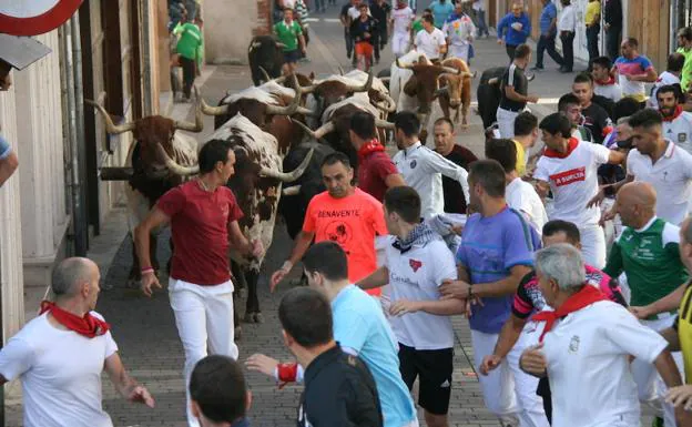 Los mozos corren delnte de la manada durante el primer encierro del ciclo de Cuéllar, celebrado este domingo. 