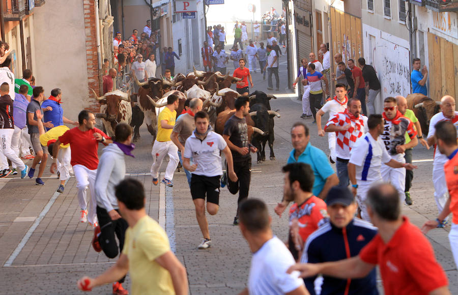 Fotos: Segundo encierro de las fiestas de Cuéllar