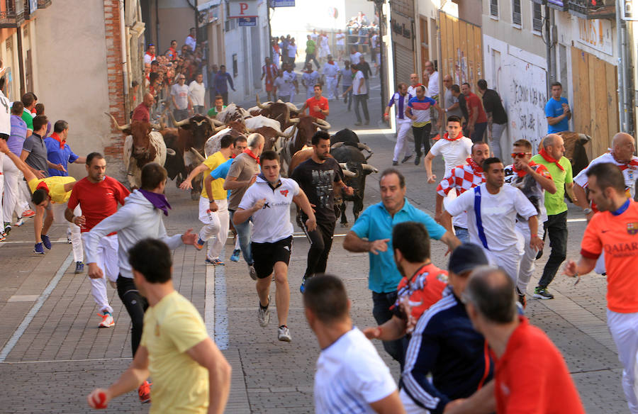 Fotos: Segundo encierro de las fiestas de Cuéllar