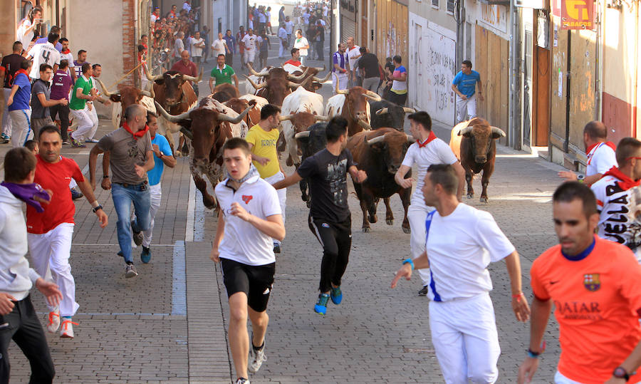 Fotos: Segundo encierro de las fiestas de Cuéllar