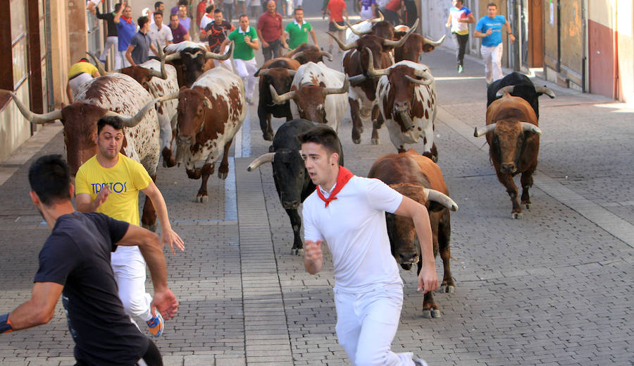 Fotos: Segundo encierro de las fiestas de Cuéllar