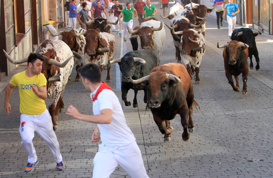 Fotos: Segundo encierro de las fiestas de Cuéllar