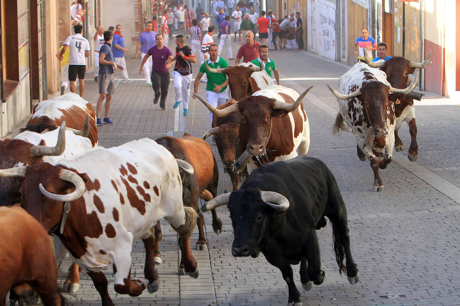 Fotos: Segundo encierro de las fiestas de Cuéllar