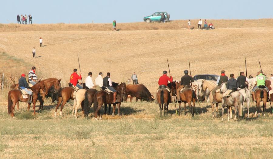 Fotos: Segundo encierro de las fiestas de Cuéllar