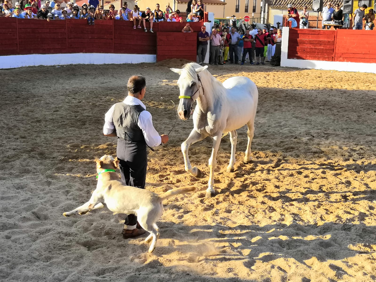 La localidad ha celebrado una exhibición ecuestre solidaria y recaudó 1.587 euros para investigación sobre la enfermedad AME