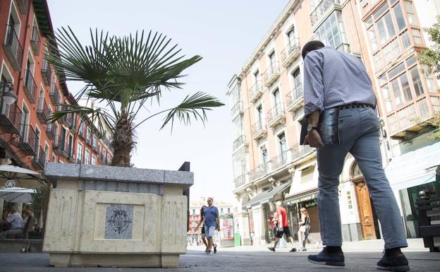 Jardinera con valla desplegable para evitar el paso de vehículos a la Plaza Mayor. 