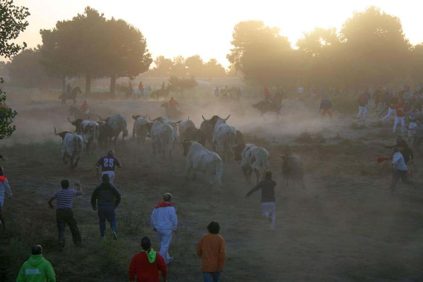 Fotos: Tercer encierro de Cuéllar