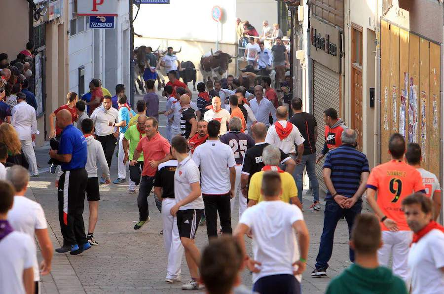 Fotos: Cuarto encierro de las fiestas de Cuéllar