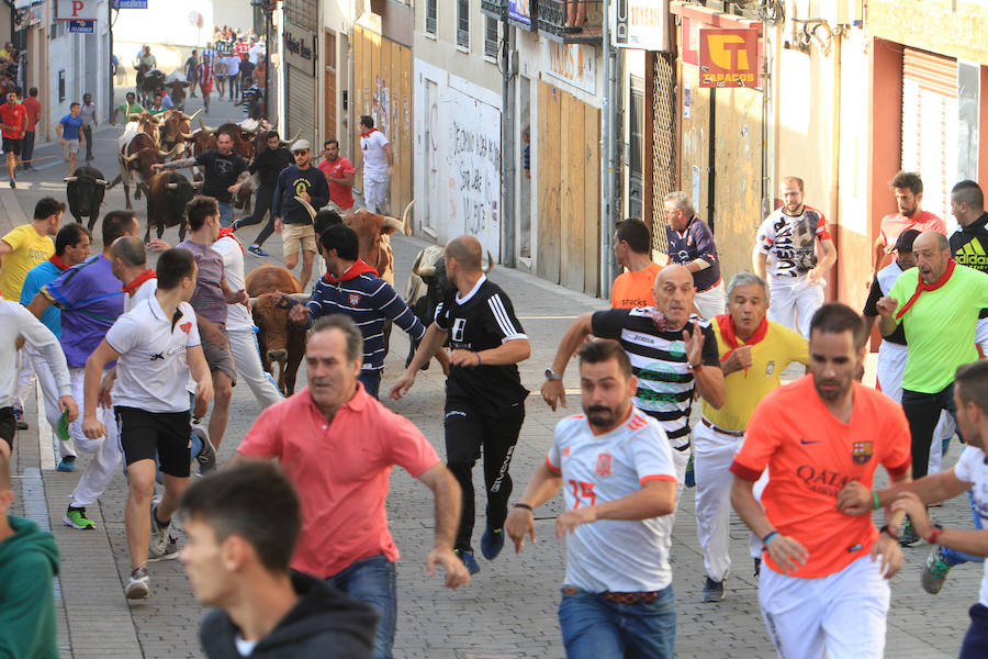 Fotos: Cuarto encierro de las fiestas de Cuéllar