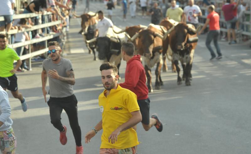 Fotos: Encierro en Medina del Campo