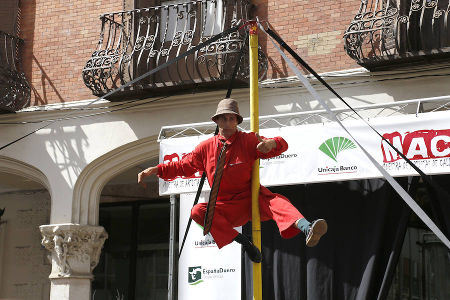 Fotos: Último día de la Muestra de Artistas de Calle