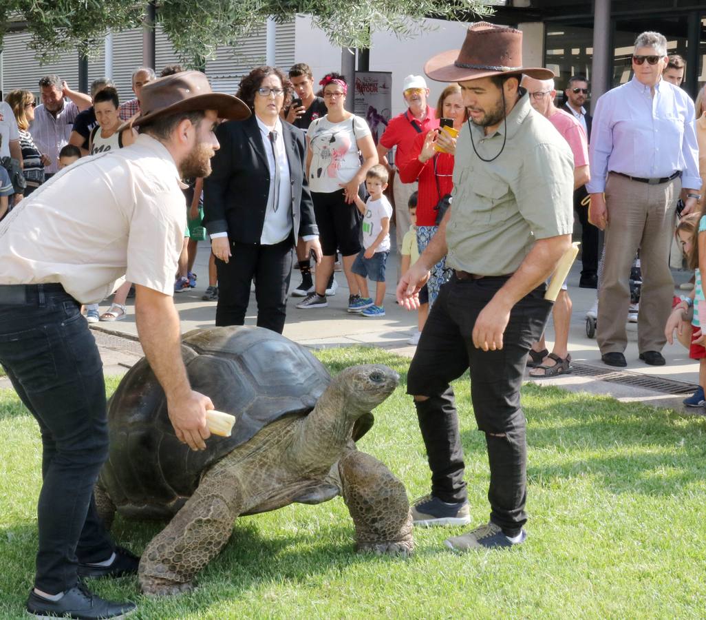 Fotos: Inauguración de la Feria de Muestras de Valladolid