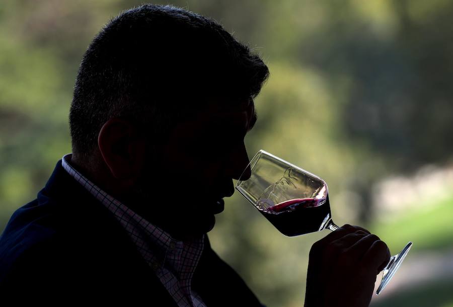 Cata de los Premios Zarcillo en su edición de 2018 en Burgos.