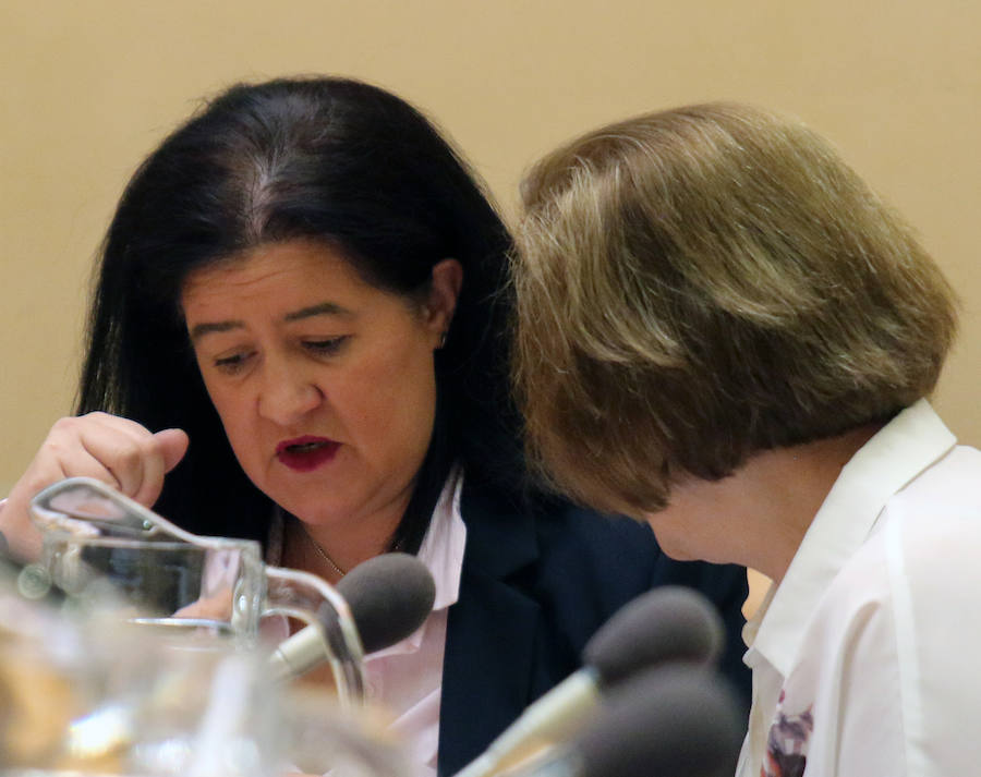 Fotos: Pleno del Ayuntamiento de Segovia