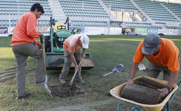 Tres operarios trabajan en el estadio de La Balastera en la reposición del césped con tepes de hierba natural. 