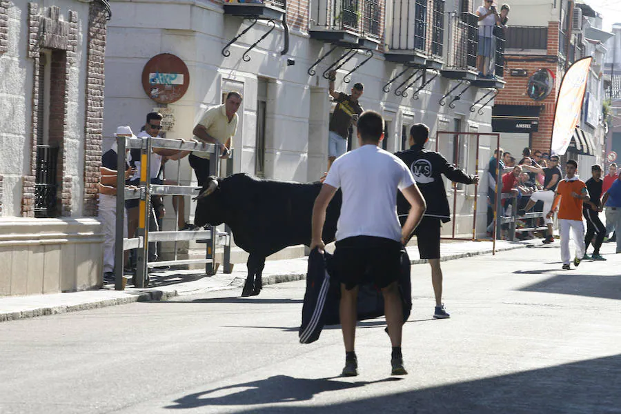 Fotos: Encierro de la mañana del sábado en las fiestas de Laguna de Duero 2018