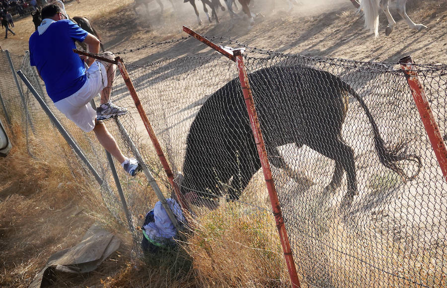 El herido es un vecino de 54 años de Ataquines