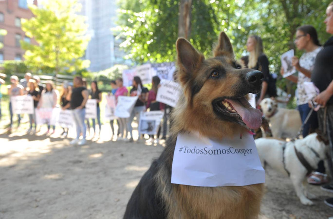 Fotos: Concentración en Las Moreras para despedir a cooper