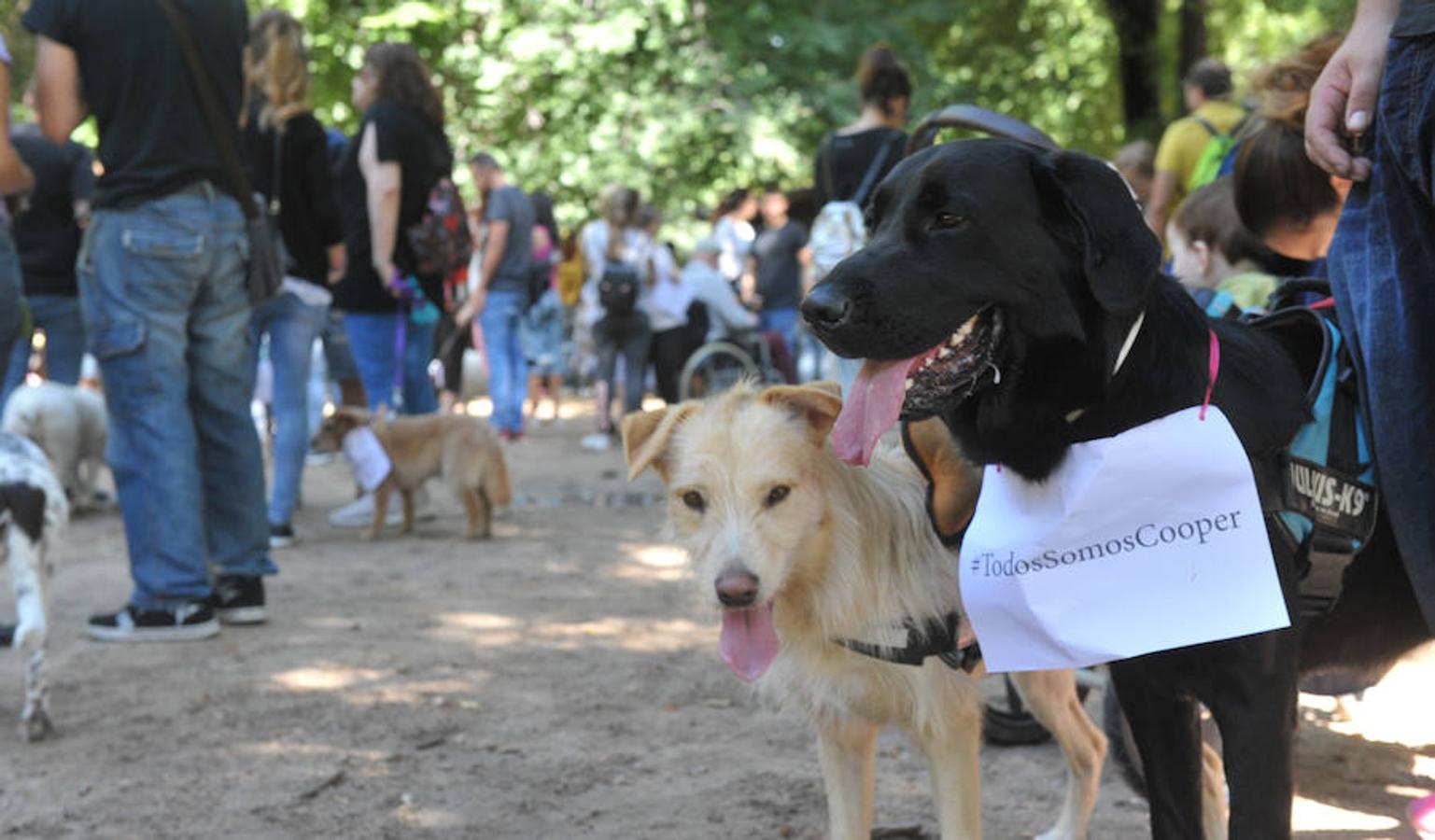 Fotos: Concentración en Las Moreras para despedir a cooper