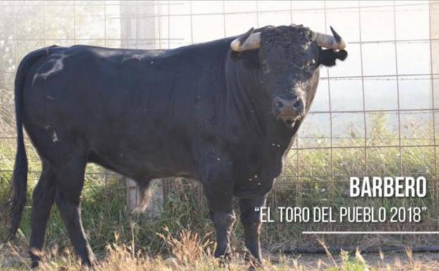 Barbero, el primer Toro del Pueblo que no será enmaromado.