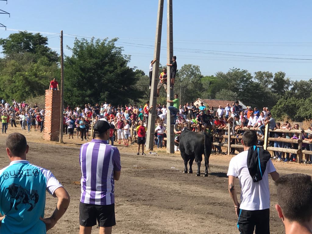 Dos personas han resultado heridas, al parecer uno con una posible cornada en la pierna