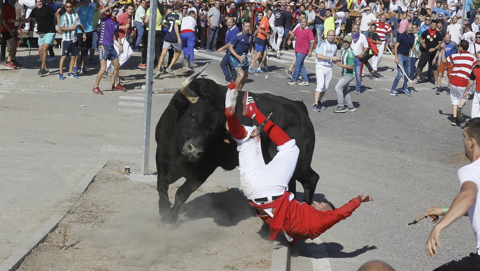 Dos personas han resultado heridas, al parecer uno con una posible cornada en la pierna