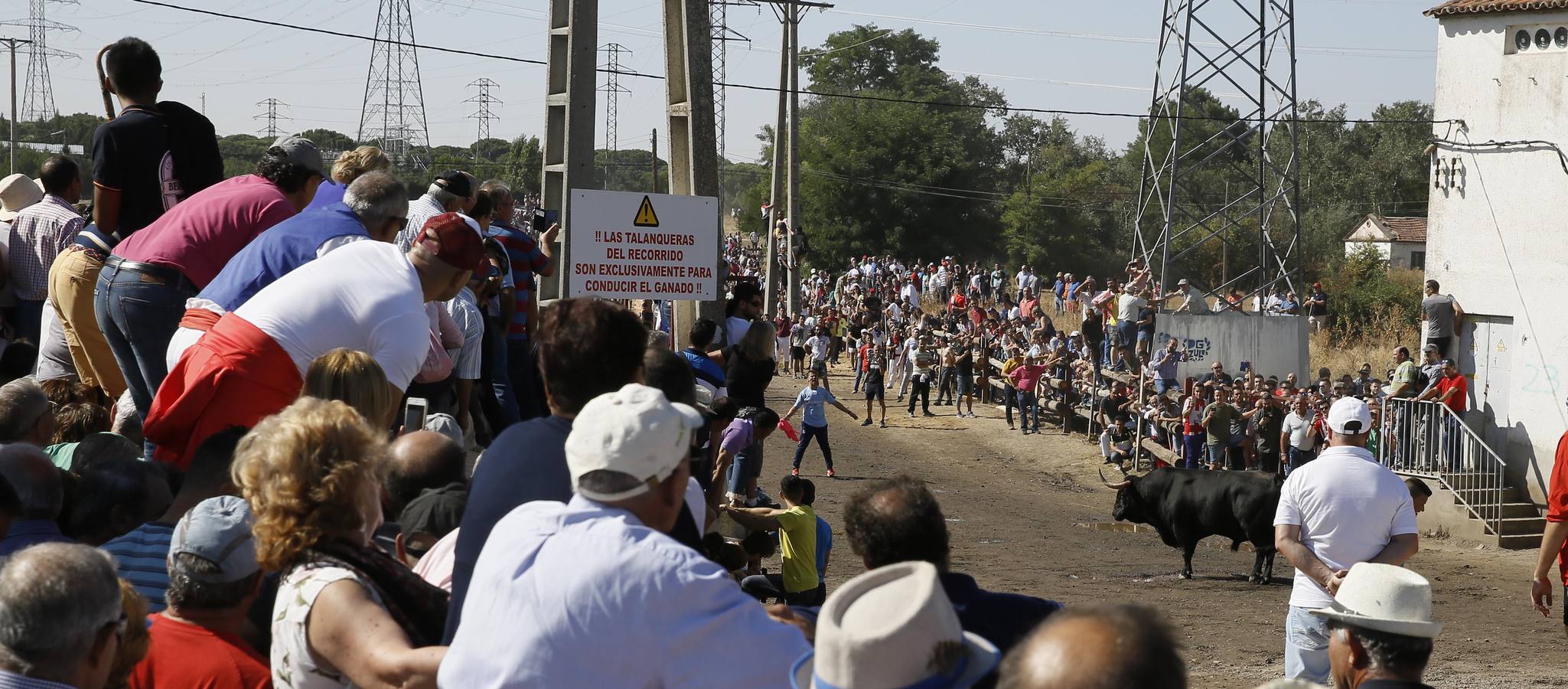 Dos personas han resultado heridas, al parecer uno con una posible cornada en la pierna