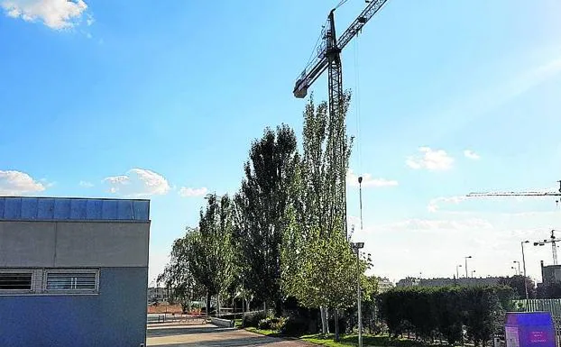 La grúa se levanta en el solar anexo al centro.