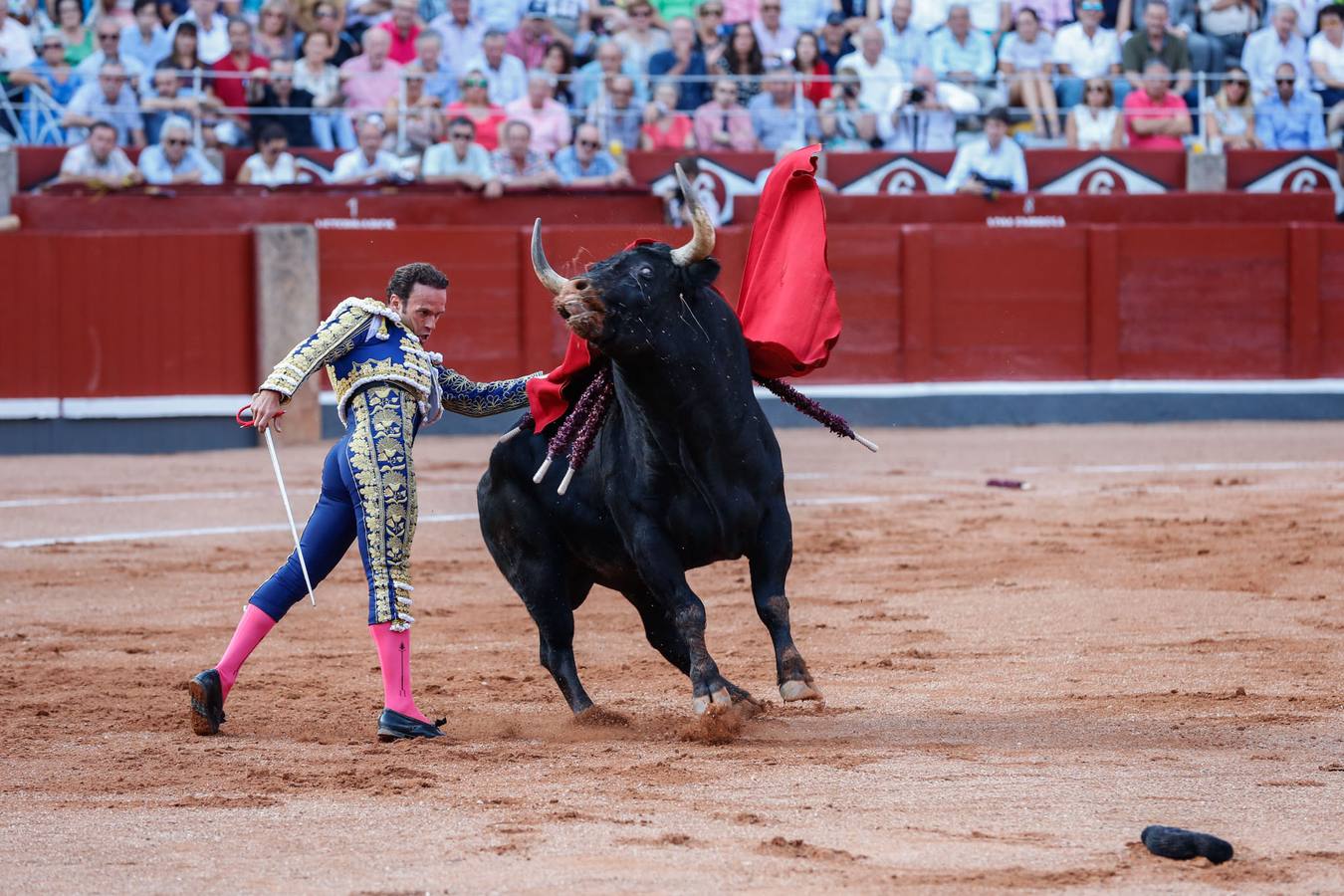 Máximos honores para el bravo, bello y distinguido toro de Montalvo que partió plaza