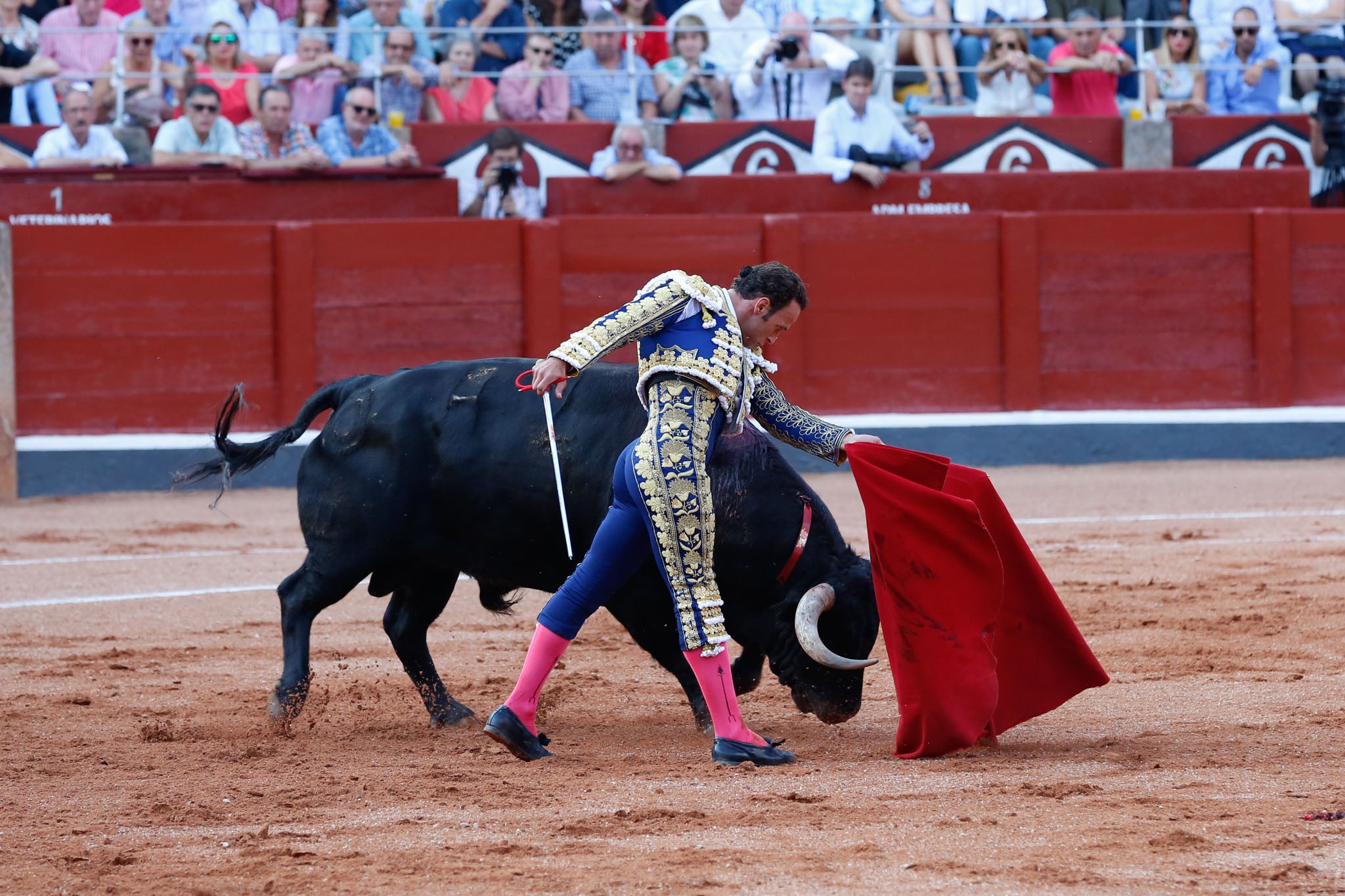 Máximos honores para el bravo, bello y distinguido toro de Montalvo que partió plaza