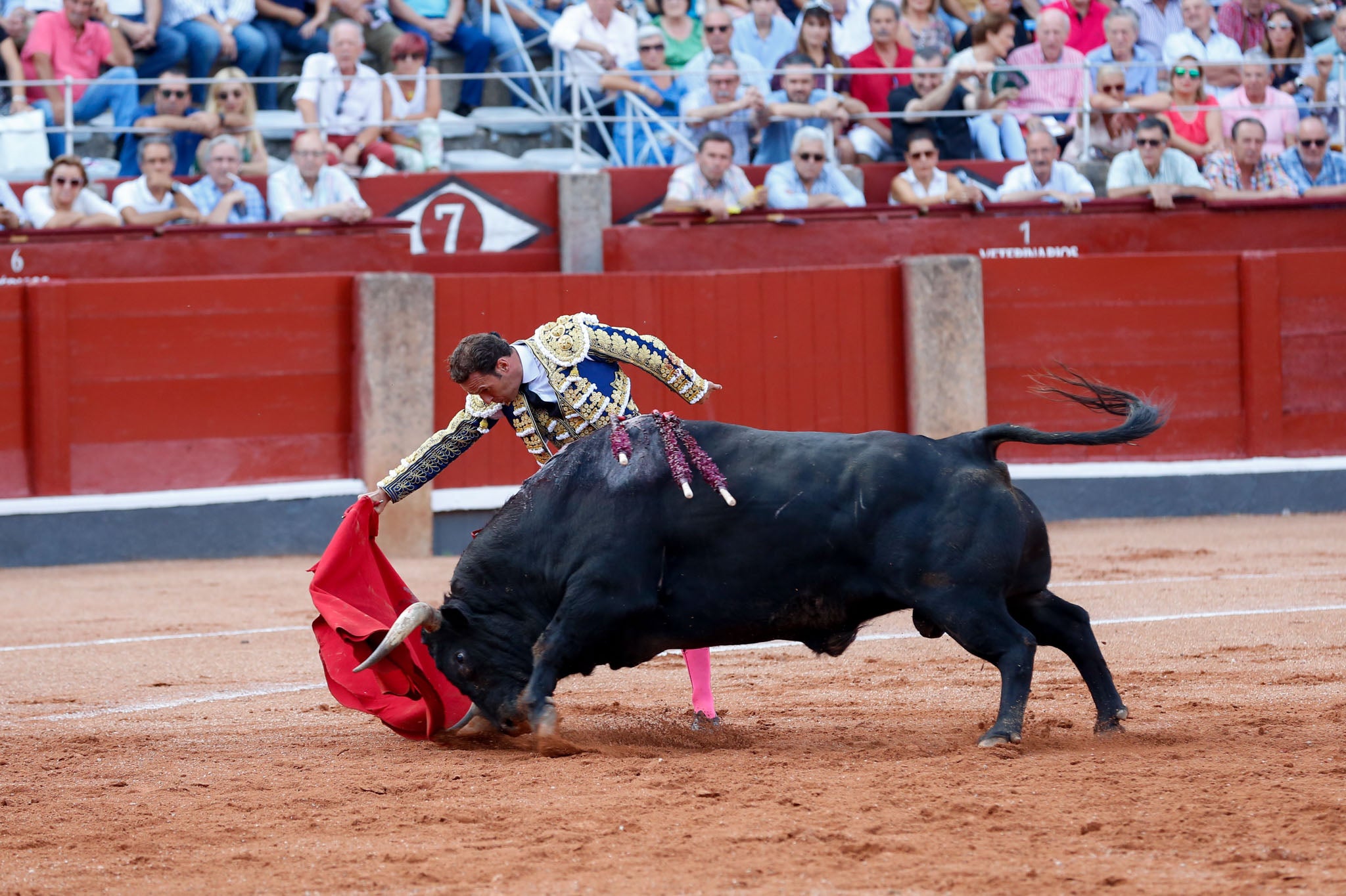 Máximos honores para el bravo, bello y distinguido toro de Montalvo que partió plaza