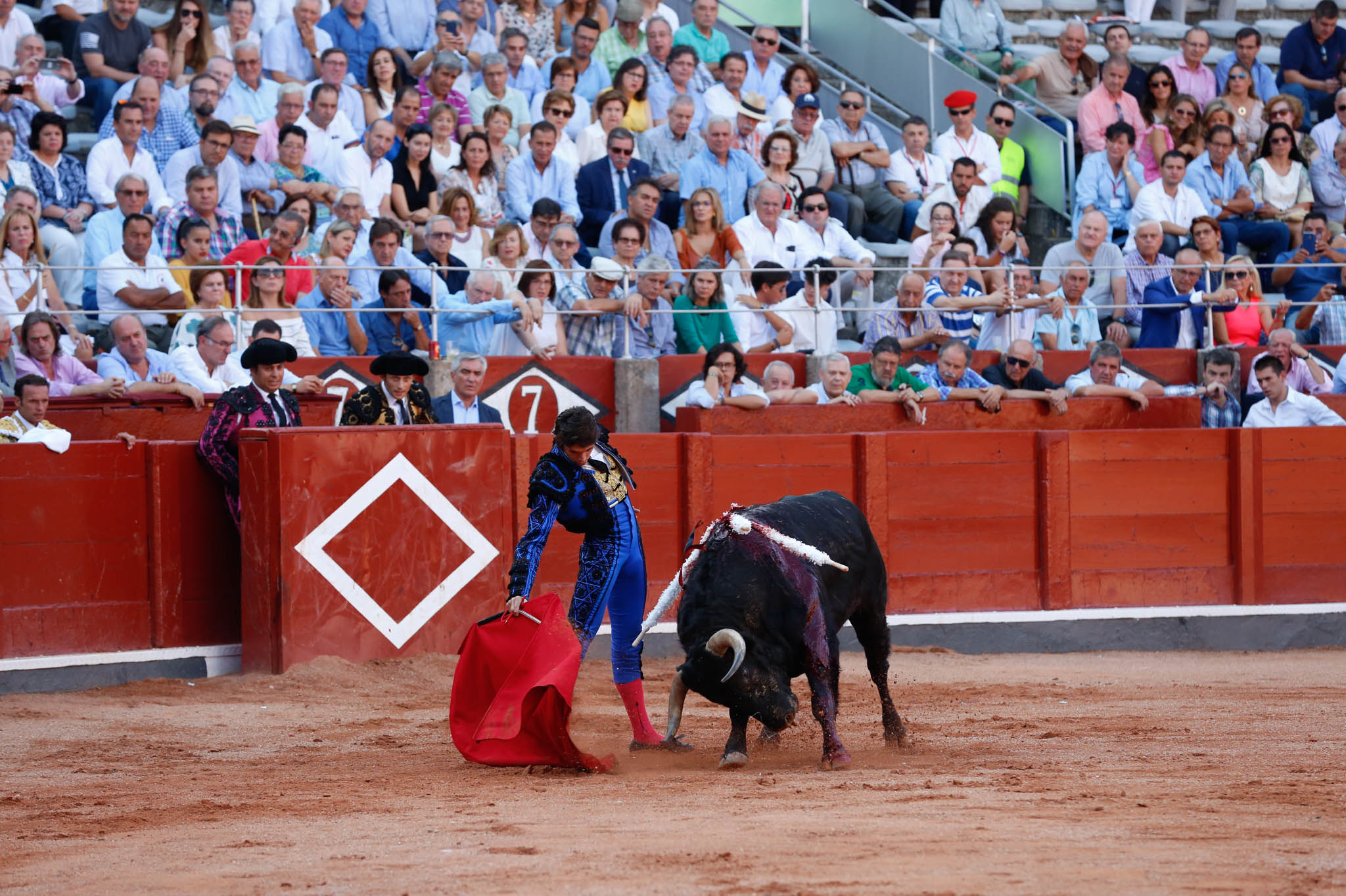 Máximos honores para el bravo, bello y distinguido toro de Montalvo que partió plaza