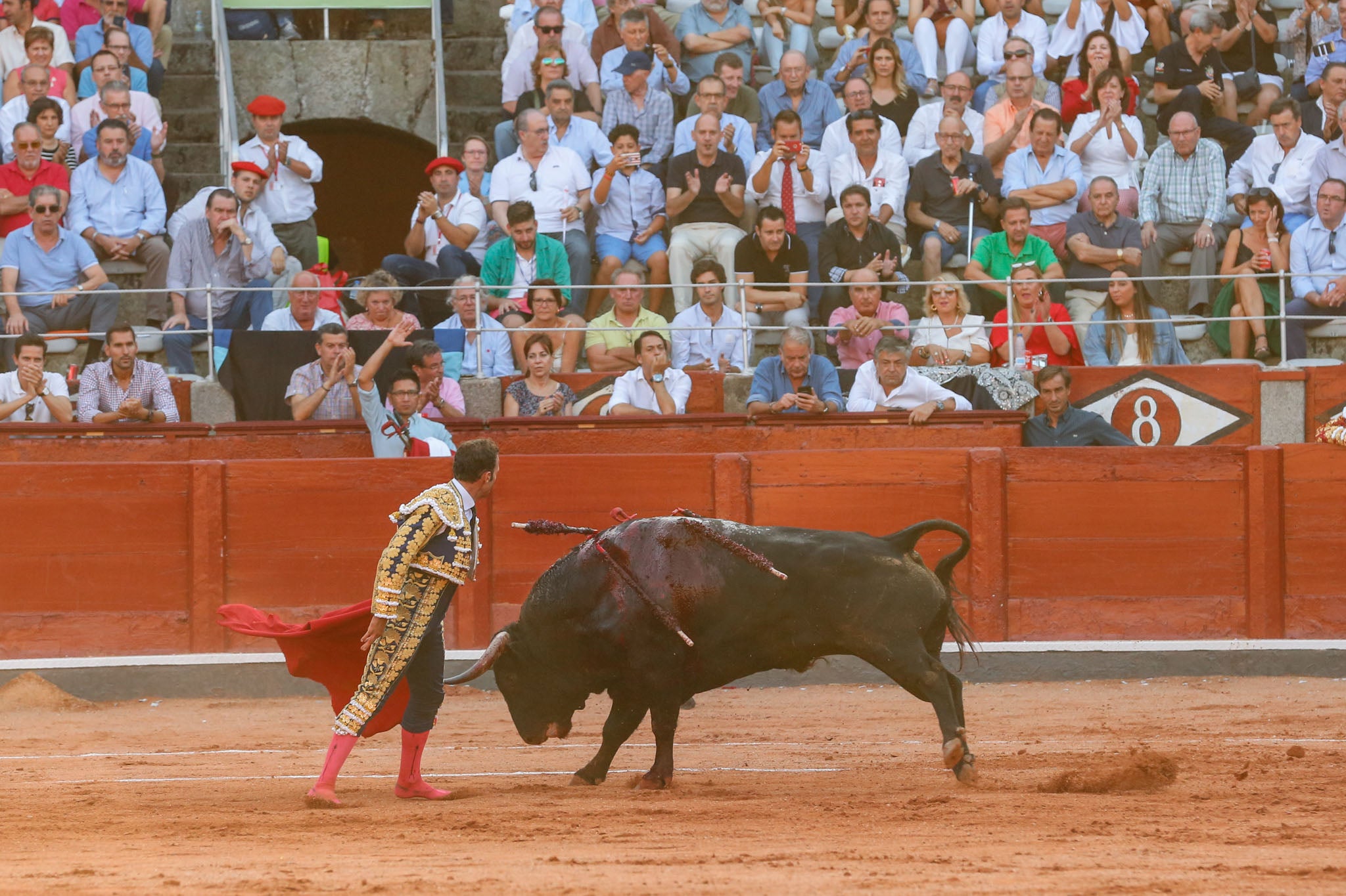 Máximos honores para el bravo, bello y distinguido toro de Montalvo que partió plaza