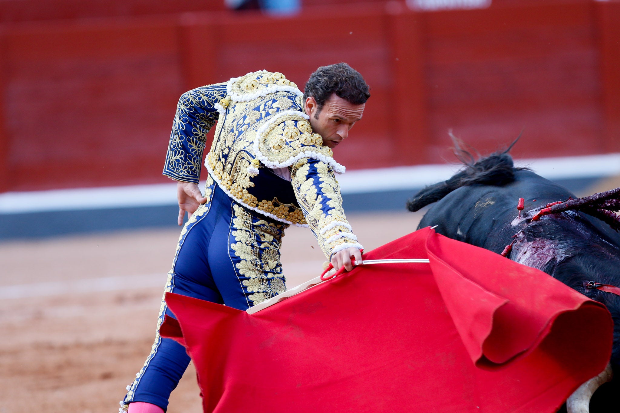 Máximos honores para el bravo, bello y distinguido toro de Montalvo que partió plaza