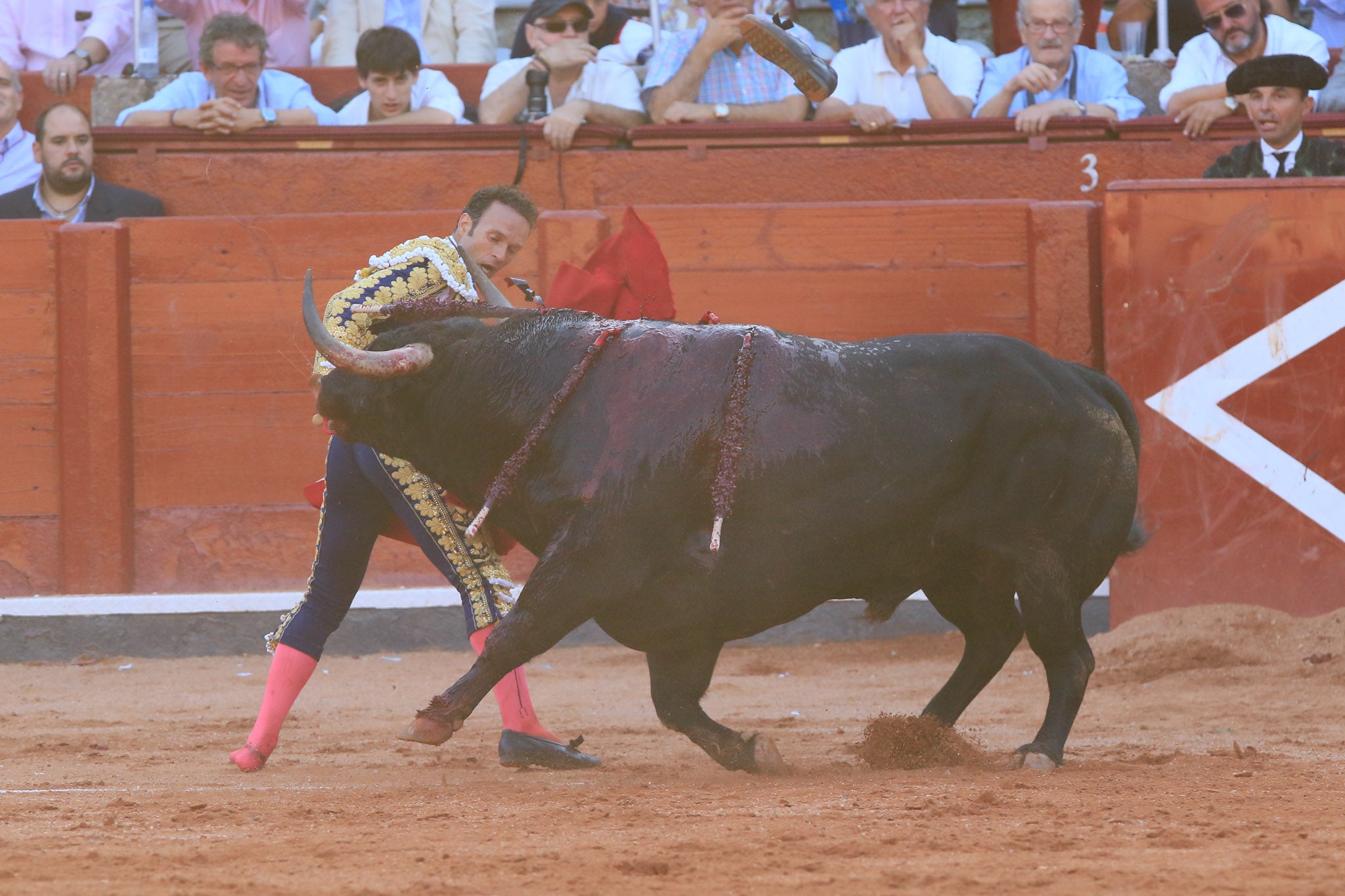 Máximos honores para el bravo, bello y distinguido toro de Montalvo que partió plaza