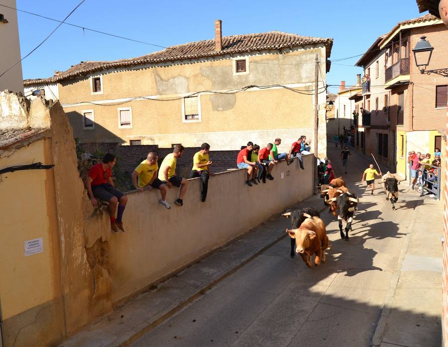 Fotos: Jornada festiva del sábado en Astudillo