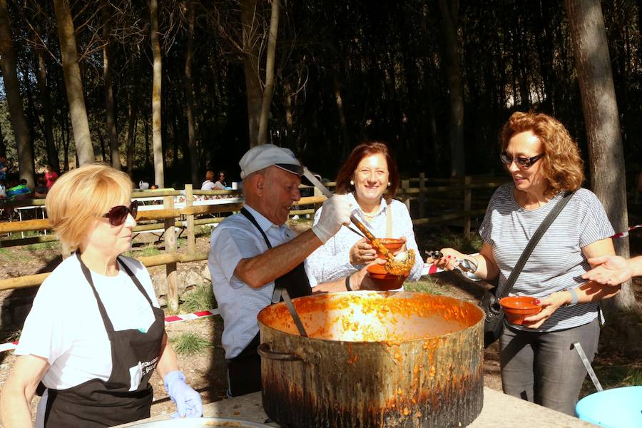 Fotos: Día del montanero en Cevico Navero